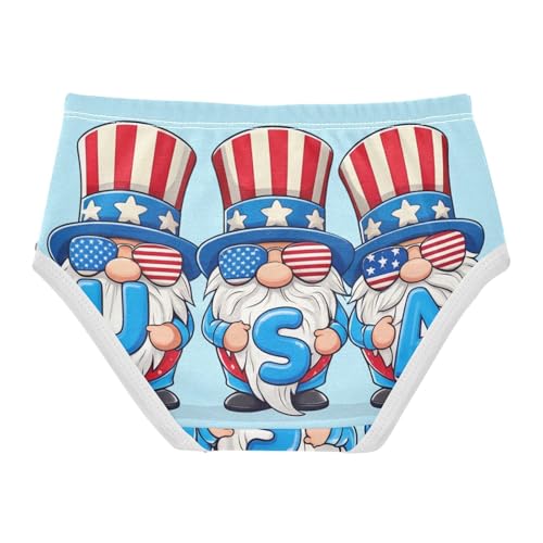 Cute Gnomes American Light Blue Girls Underwear Toddlers 2t Cotton Panties for Girl Pattern Kids Undies Briefs2