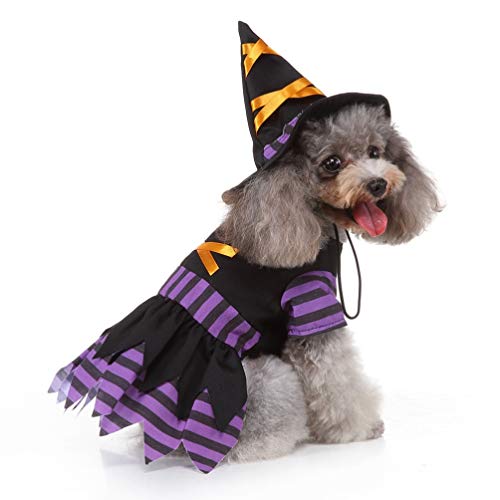 Disfraz Halloween para Perro con Diseño Creativo de Bruja miniatura 2