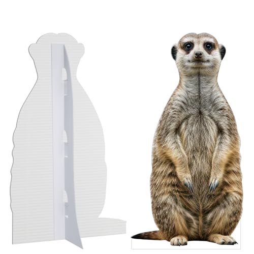 Image of Meerkat1 Life Size Cardboard Cutout, 4FT, Party Decor, 1 PC | Cardboard Meerkat1 Animal Standup for Events, Birthday, Photos, Holiday, Wedding, Party, School Events