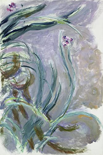 Peinture murale Iris de Claude Monet 60x90cm pour habiller un grand mur vide