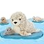 Seal-brown