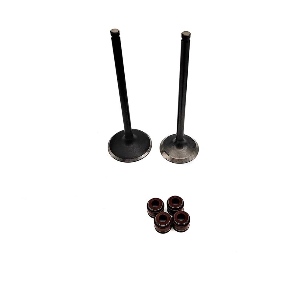 YHNNH Set di anelli di tenuta della valvola di aspirazione e scarico stelo valvola 0180-022004 0180-022005 0010-022500 Adatto for modelli CF500 CF188 CF 500 ATV UTV Sostituzione