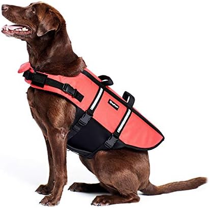 Miniatura 2 de ZippyPaws Chaleco salvavidas para perros y cachorros, chaleco salvavidas para entrenamiento de natación para perros pequeños, medianos y grandes,