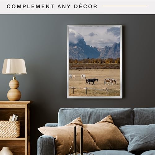 Image of MCS Foundation 20x27 Poster Frame Traditional Silver, Vertical & Horizontal Wall Hanging Large Picture Frame for Photos, Posters & Art Prints (1-Pack)