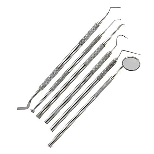 PRECISE CANADA Dental Tools, 6 Pack Upgraded Professional Teeth Cleaning Tools Stainless Steel Dental Scaler Pick Hygiene Tools Set Plaque Remover Kit PR-348