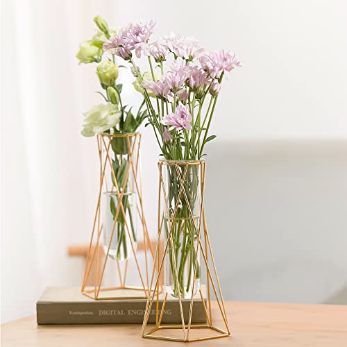 Grensuk 2 Pcs Gold Geometric Vase,Air Plant Stand,Hydroponic Plant Flower Vase Glass Test Tube,Modern Vases For Flowers As Wedding Home Office Centerpiece,Vase Set Of 2 (2Pc,8.7Inch) #TOP1