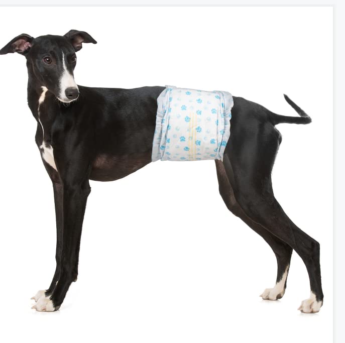 Pet Soft Wegwerpluiers voor reuen, 20 stuks, hondenluiers mannen, super