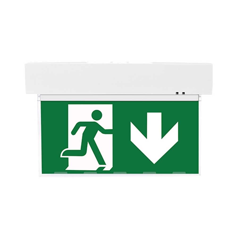 NCC-Licht Lampe de secours LED - Montage mural et plafond - 5,5 W - Lumière continue avec 4 pictogrammes et batterie remplaçable