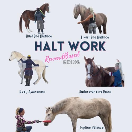 Working in halt. For body awareness, gymnastics and understanding of the aids.