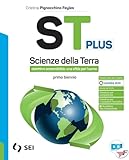 SEI
