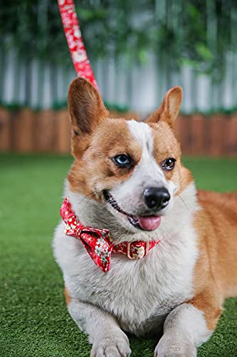 Personalisiertes Hundehalsband mit Metallschnalle, individuelle Haustiermarken mit Namen, Telefonnummer, Adresse graviert, Blumenmotiv