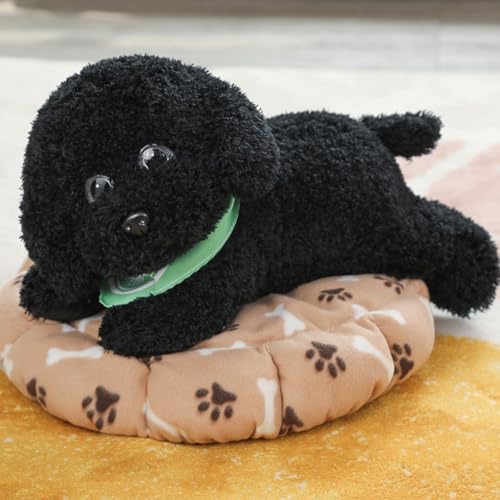 Demanca efBсAgCv[hAQAAefBN}̂ʂ݁A^gCv[ĥʂ݁AʂݖAAefBAʂ݁AqߋAv[gAAXANbVAjAav[gAqv[g (