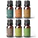 Pure Body Naturals - 6 Count x 10 ml Undiluted Essential Oils Set - Cinnamon, Fir, Clove, Pine, Nutmeg, Peppermint - Perfect for Diffusing, Scented Recipes, Gifts