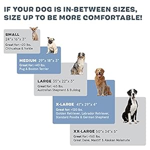 Barkbox-Orthopedic-Dog-Bed-Comfortable-Memory-Foam-Mattress-for-Joint-Relief-Head-and-Neck-Support-Waterproof-with-Non-Skid-Bottom-Calming-Durable-Bed-with-Washable-Cover-Medium-Grey - Cucciolini Doodles Barkbox-Orthopedic-Dog-Bed-Comfortable-Memory-Foam-Mattress-for-Joint-Relief-Head-and-Neck-Support-Waterproof-with-Non-Skid-Bottom-Calming-Durable-Bed-with-Washable-Cover-Medium-Grey