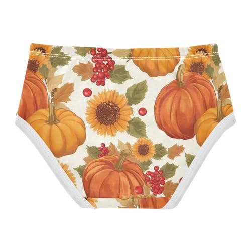 Wusikd Pumpkins Sunflowers Girls' Underwear Cotton Red Berries Girls Briefs Soft Toddler Underwear 2T2