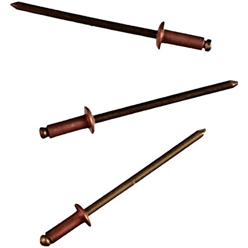 Preisvergleich Produktbild Connex Blindnieten 3,2 x 6 mm Kupfer 50 Stück, COXT197306