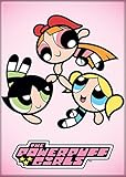 Ata-Boy Powerpuff Girls Blossom, Buttercup, Bubbles in a Circle 2.5' x 3.5' Magnet for Refrigerators and Lockers