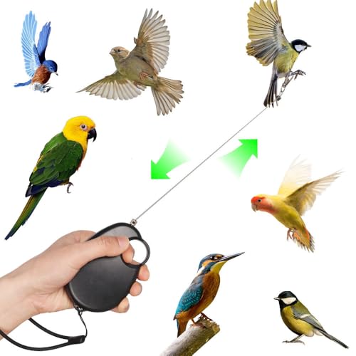 Vogelleine, Einziehbares Flugtrainingsseil für Papageien, Bissfestes Papageien-Trainingsseil für Sittiche, Nymphensittiche, Unzertrennliche, Finken