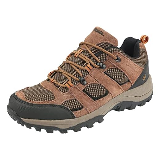 Northside mens Monroe Low-m Hiking Shoe, Brown, 12 US
