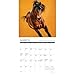What Horses Teach Us 2026 Mini Wall Calendar