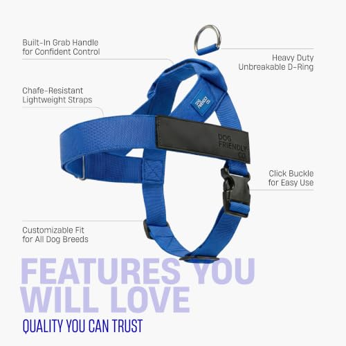Image of Dog Friendly Co. Dog Harness for Large Dogs (Classic Blue, Large)
