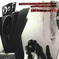 邦楽 THE FLAMING LIPS TRANSMISSIONS LP Amazon.com: Transmissions From the Satellite Heart: CDs & Vinyl