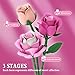Pink Rose Bouquet Flowers Building Set, 834Pcs Roses Artificial Flowers Botanical Collection Compatible with Lego Flowers for Adults Christmas Anniversary Valentines Day Gifts for Mom Her Women
