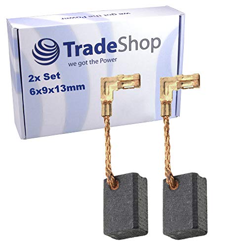 2 spazzole di carbone 6 x 9 x 13 mm per