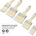 Hiltex 00308 Brush Paint Stain Varnish Set with Wood Handles, 5-Piece, Small