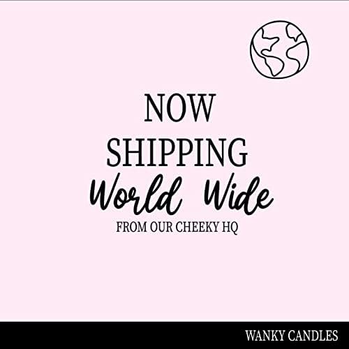 Wanky Candle Black Scented Candle, Friendship Gift, Funny Gift for Friend, Rude Candle, in a World Full of c*NTS You're My Favourite WCBJ118