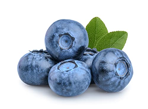 Freds Jumbo Spanish Blueberries 200g