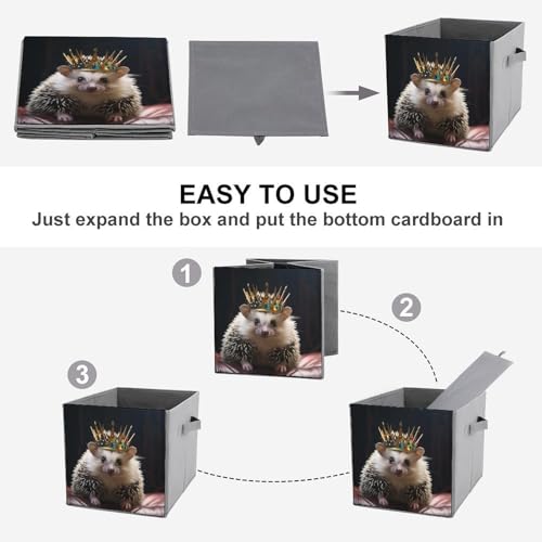 Boîtes de rangement pliables couronne hérisson et paniers à linge