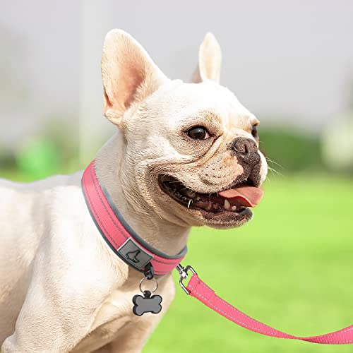 Image of Joytale Dog Collar for Small Dogs, Neoprene Padded and Adjustable, Reflective Wide Heavy Duty Pet Collars with Durable Metal Belt Buckle for Walking, Pink, S