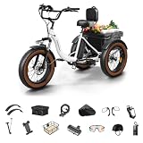 PUCKIPUPPY Alaskan Electric Trike