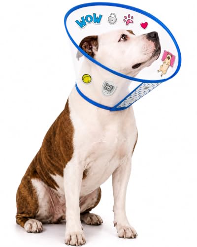 Image of SILVER GRADE Dog Cone Collar for Recovery, Size XL, Neck Girth 16.1-18.9 in