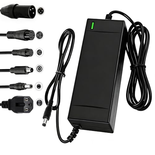 SGS Certified 54.6V 2A Fast Electric Bicycle Charger for 48V