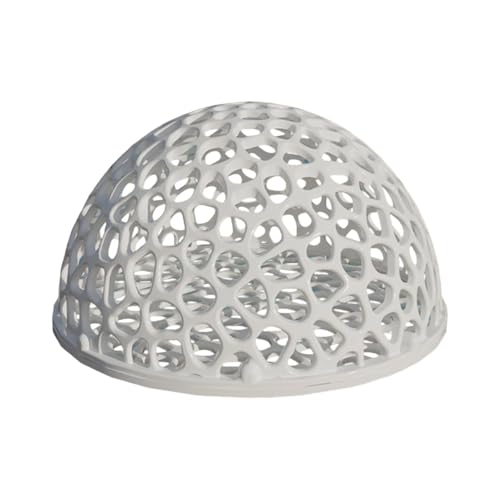 ʋC̍A͐ق̔wAœKꂽ̐̃Gr̔ɐBpVF^[ẢBƏB