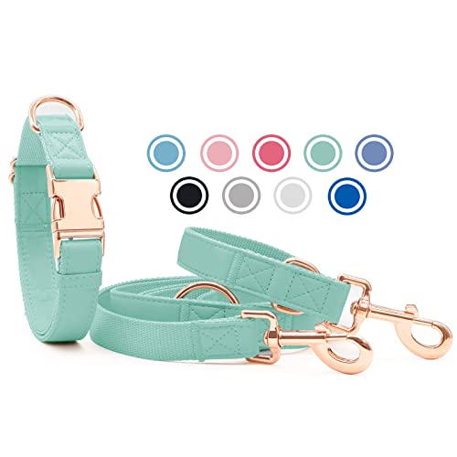 Weich Leder Hundehalsband und Leine (2m) Set - 3-Fach Verstellbar Hundeleine mit Halsband, Stilvollen Rose Gold Metall Schnalle & Nylon Hund Leinen für Welpen Kleine Mittlere Große Hunde Grün,S Cover