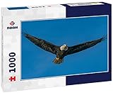 Noah Jigsaw Puzzle Bald Eagle in Flight - A Bald Eagle Flies Overhead with Wings Outstretched Chilkat River, Haines, Alaska 1000 Pieces
