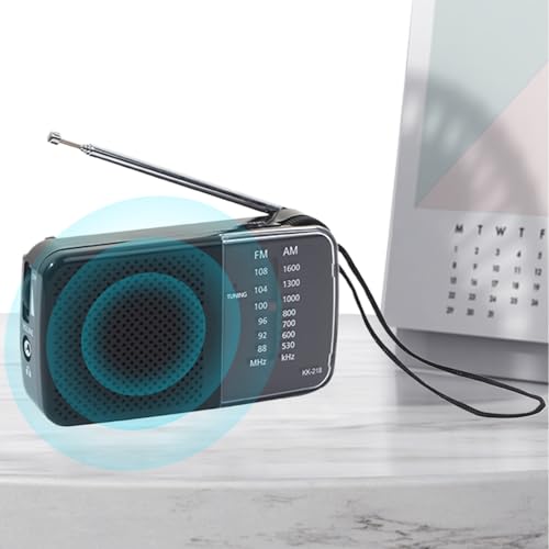 Radio numérique mini AM FM dotée d'un haut-parleur et écran LED