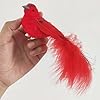 WLBON 5 Pcs Christmas Red Cardinal Birds with Clip Artificial Feathered Bird Ornaments Decorations for Xmas Tree Wreaths Garlands Centerpiece DIY Crafts Wedding New Year Birthday Party Supplies Red #4