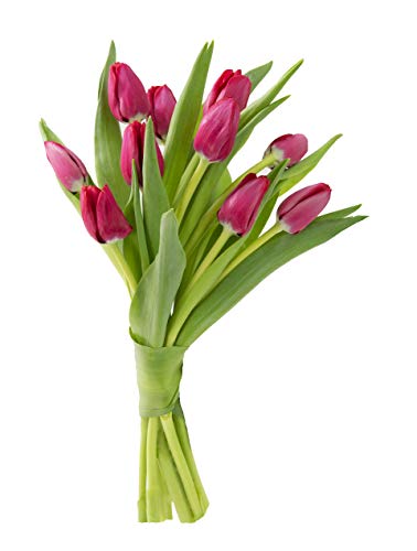 Image of KaBloom PRIME NEXT DAY DELIVERY - Mother's Day Collection - Bouquet of Fresh Red Tulips (Farm-Fresh, Cut-to-Order and Homegrown in the USA). Gift for Birthday, Mother's Day Fresh Flowers