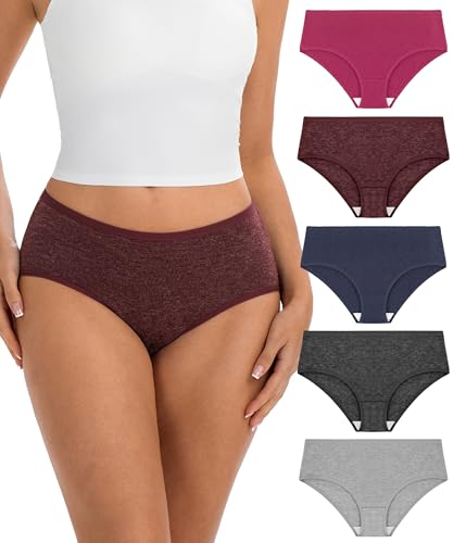 BEENIUBEE Womens Merino Wool Underwear, Mid-Rise Brief Soft Breathable Moisture