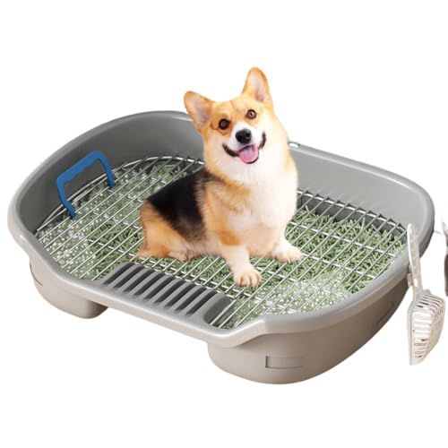 Apaeofl犬用トイレ、犬用トイレボックス、トレーニングトレイ、ペット用、小便器、ペット用小便器、尿トレイ、踏みつけ防止、トイレトレイ、漏れ防止、滑り止め、お手入れ簡単、環境に優しい素材 (62*45*15cm,グレー)