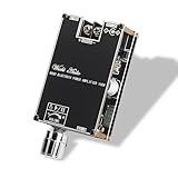 Wuzhi Audio ZK-1001B Mono Bluetooth Amplifier Board with TPA316D2 Chip, Wide Voltage Input 12-24V Peak Output Power 100W, with TWS Pairing Function