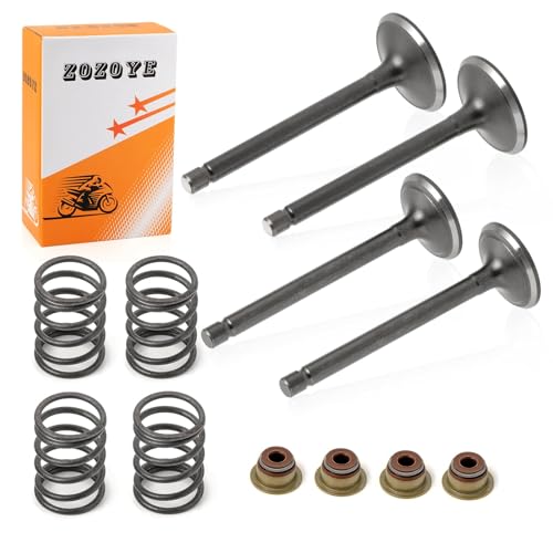 Image of Fugi Robbin 295cc 350cc Exhaust & Intake Valve & Seals Springs For EZGO 4 Cycle Gas Golf Cart MCI 2003-2008 (NO 1992-2002) 72857-G01 72507-G01