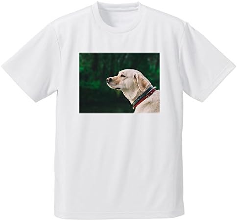 Amazon 犬 大型の犬 ラブラドール フォトプリントtシャツ オリジナルプリント 通販 Amazon 犬 大型の犬 ラブラドール フォトプリントtシャツ オリジナルプリント 通販