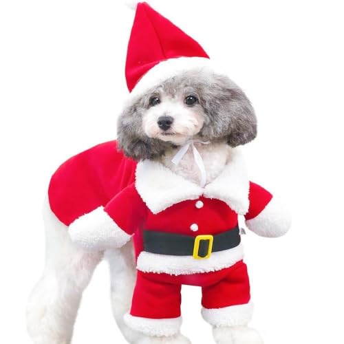 siawadeky ybg NX}X  L Xq T^ 2_Zbg 킢 ^ Lp NX}X RX`[ h ۉ ybgp NX}Xϐg 񑫕s RXv y EȒP NX}X p[eB[ LOBep