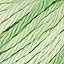 Aloe Vera Scents