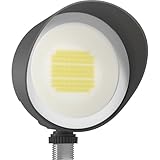 BULLET FLOOD 12W COOL LED